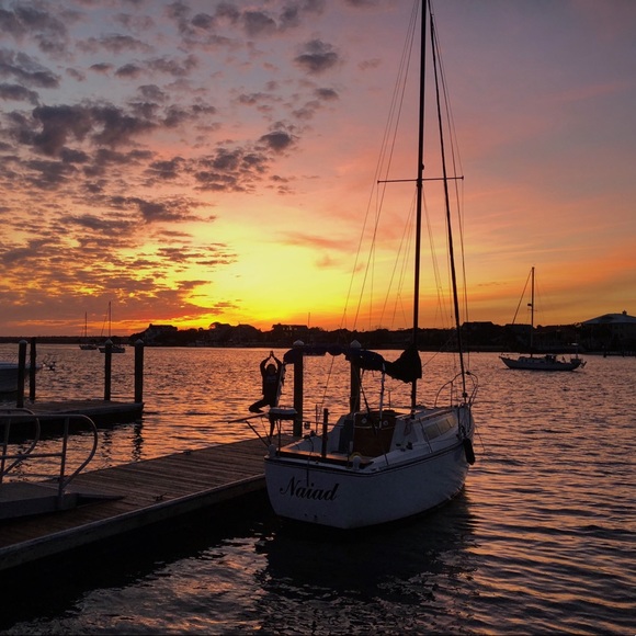 Meet your Posher, Sierra - Picture 1 of 1